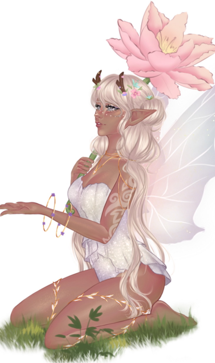 Fullbody A partir de 60€